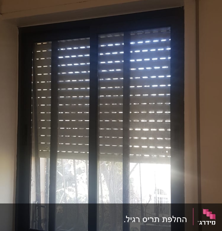 תריסים מוגפים למחצה עם אור חודר דרכם